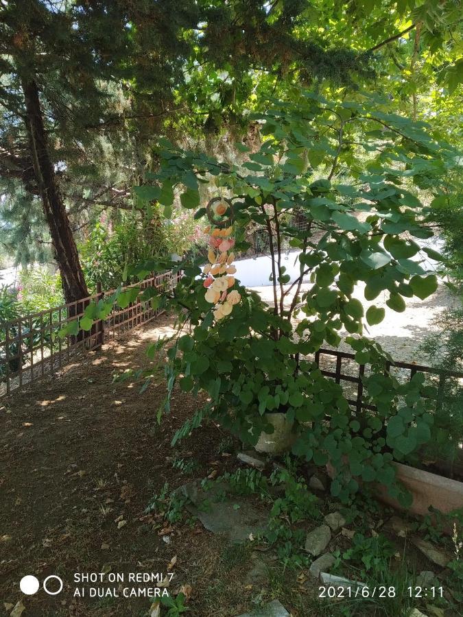 Country Art Studio Alkyoni Kokkino Nero Exterior foto